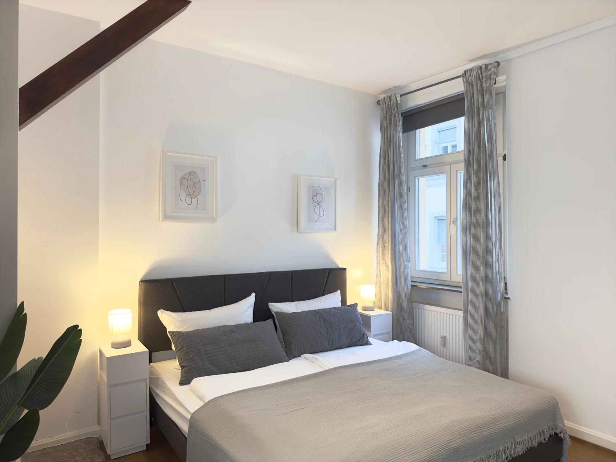 Luxury Old Town Suite - Xxl Terrasse & Xxl Penthouse Heidelberg Exterior photo